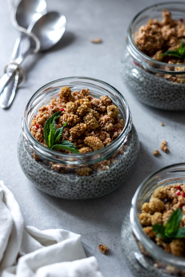 chia-pudding-(1-of-1)_web Presna ekološka chia semena, drobTinka, 230 g