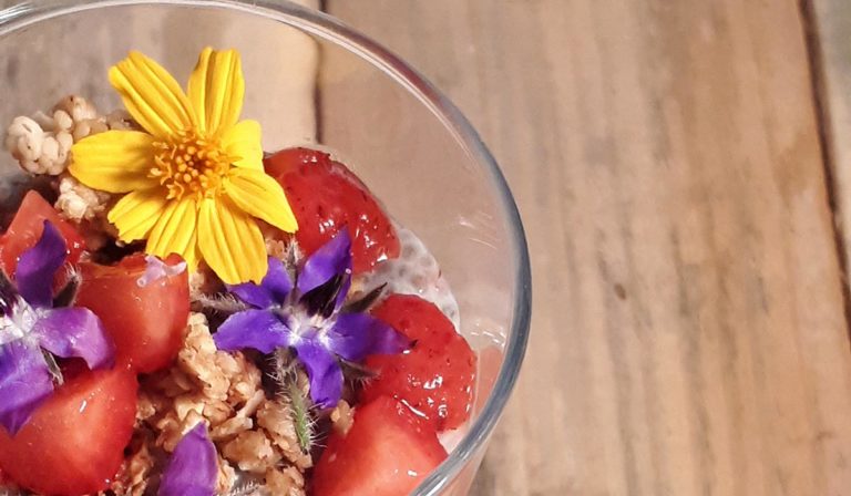 moja-presna-granola-chia-puding-naslovna