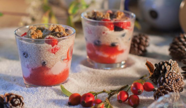 jagodni-chia-puding